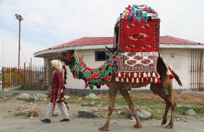 هودیخوانی، ناقهگردانی و دیگر آیینهای عاشورای اهل سنت گلستان در محرم