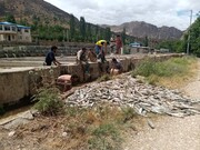 سیل ۲۳۷ میلیارد ریال به مزارع پرورش ماهی فارس خسارت زد