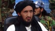 فرمانده ارشد طالبان پاکستان در پکتیکا کشته شد