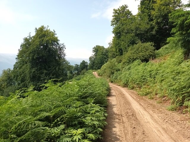 روستای چَروَدِه پرهسر رضوانشهر در اوج طراوت و زیبایی