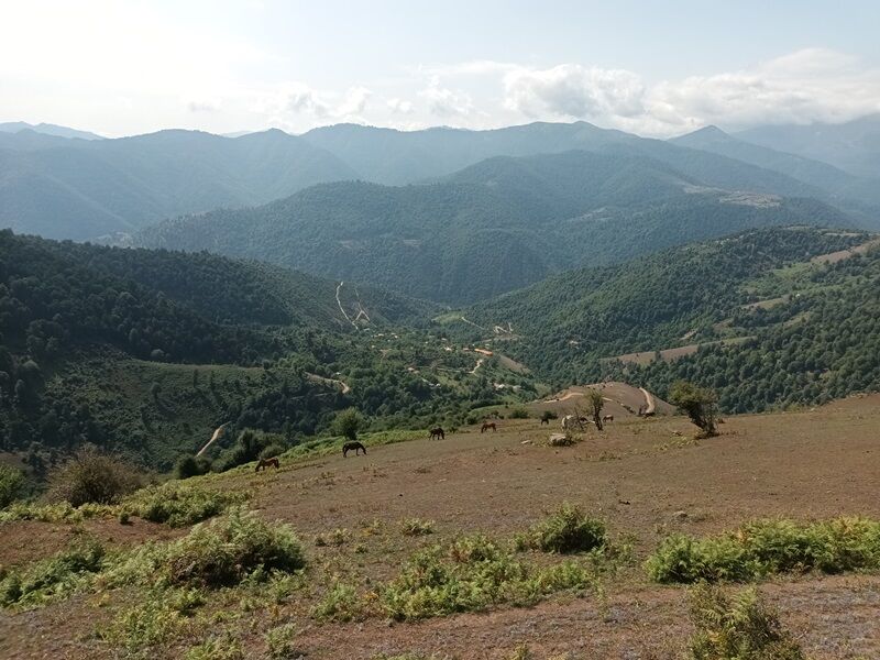 روستای چَروَدِه پرهسر رضوانشهر در اوج طراوت و زیبایی