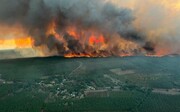 رکورد تازه آتش‌سوزی‌ در اروپا؛ ۴۷ هزار هکتار زمین سوخته در فرانسه