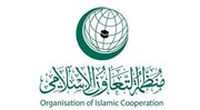 سازمان همکاری اسلامی حمله رژیم صهیونیستی به اردوگاه جنین را محکوم کرد