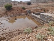 ۶ پروژه منابع‌ طبیعی هفته دولت در دهلران بهره برداری می شود