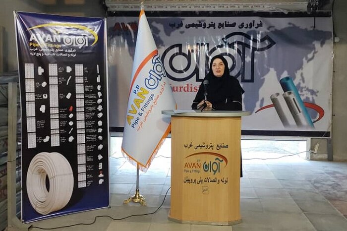 چهار گواهینامه استاندارد محصول دانش بنیان در کردستان صادر شد