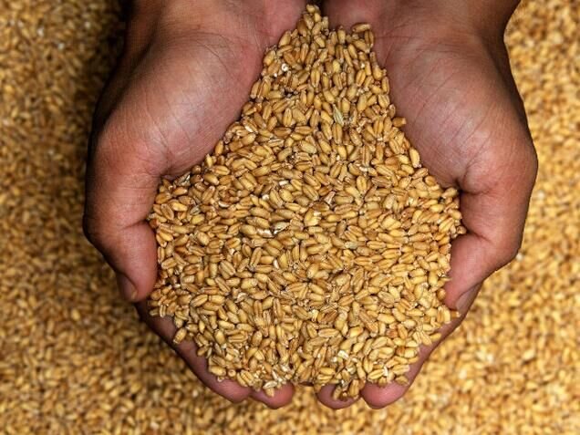 از تاکید چین بر لزوم پاسخ دهی آمریکا به نگرانیهای منطقی ایران درباره برجام تا اتصال باکو به نخجوان از طریق ایران