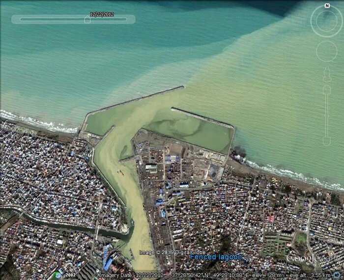 آغاز عملیات اجرایی جمع آوری سنبل آبی در تالاب انزلی