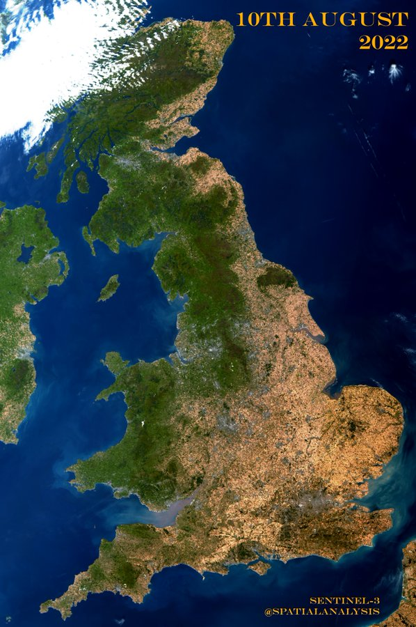 روایتی از یک خبرI تابستانی که نفس قاره سبز را برید