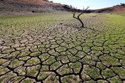 خشکسالی بیش از ۸ هزار و ۷۰۰ میلیارد تومان به کشاورزی خراسان رضوی خسارت زد