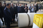 سفر وزیر اقتصاد به مازندران با بازدید از شرکت چوب و کاغذ پایان یافت