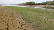 خشکسالی در اروپا، خطر تغییرات اقلیمی را بار دیگر در کانون توجهات قرار داد