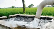 اتلاف ۵۵ درصدی آب در بخش کشاورزی و ۳۰ درصدی در بخش شرب