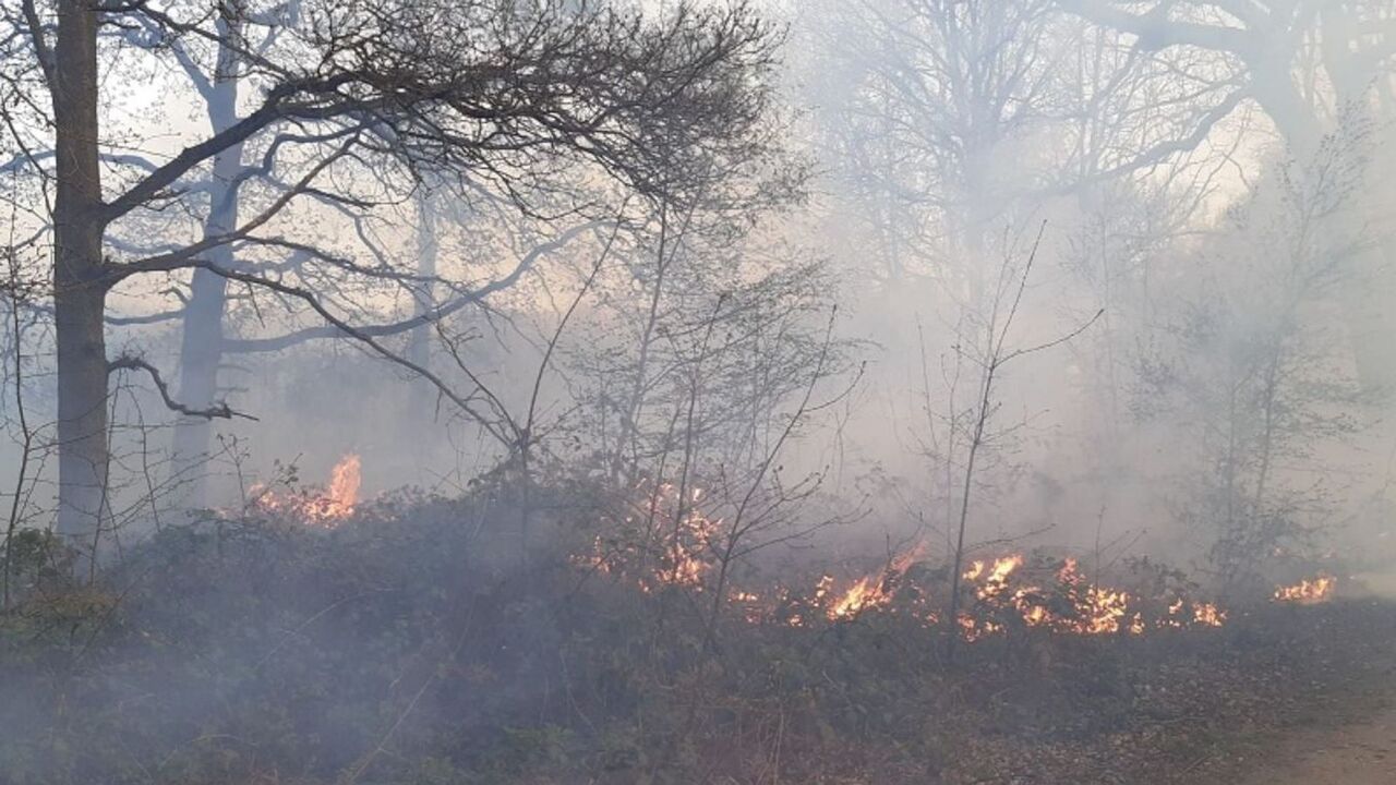 هواشناسی انگلیس هشدار داد: خطر آتش‌سوزی‌ همچنان در بالاترین سطح