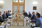 FM says Iran welcomes developing ties with Mauritius