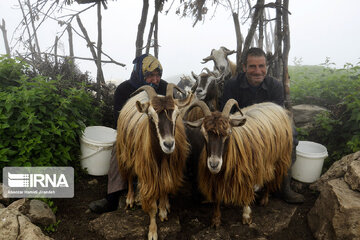 La montagne Dorfak dans la province de Guilan