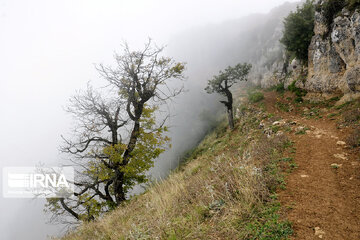 La montagne Dorfak dans la province de Guilan