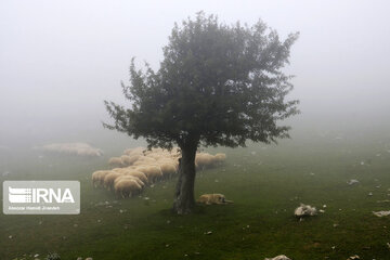 La montagne Dorfak dans la province de Guilan