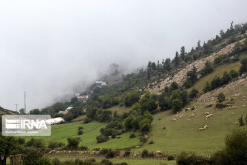 La montagne Dorfak dans la province de Guilan