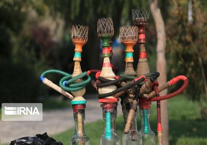 قلیان؛ بلای جان جوانان بوشهری