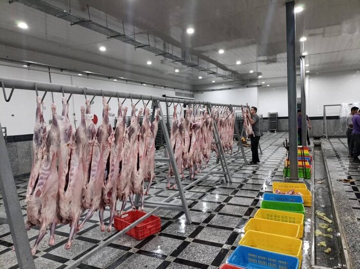 سه هزار و ۲۰۰ راس دام سبک با قیمت مصوب در گلستان خرید شد