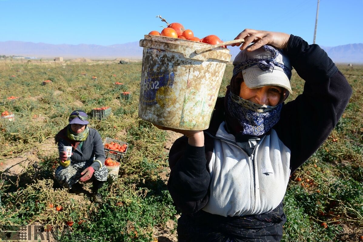 بانوان‌خبرنگار کهگیلویه و بویراحمد مطالبه‌گر مشکلات زنان باشند