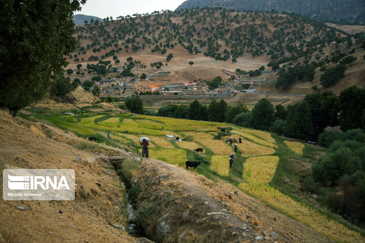حدود ۵۰۰ هکتار از اراضی ملی اصفهان سالانه به بخش تولید و خدمات واگذار میشود حدود ۵۰۰ هکتار از اراضی ملی اصفهان سالانه به بخش تولید و خدمات واگذار میشود