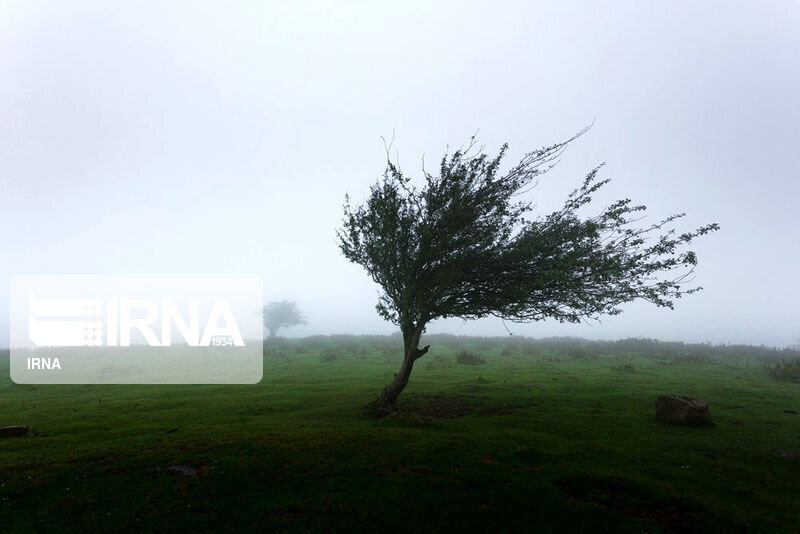 کارشناس هواشناسی همدان: وزش باد شدید پدیده غالب جوی استان است