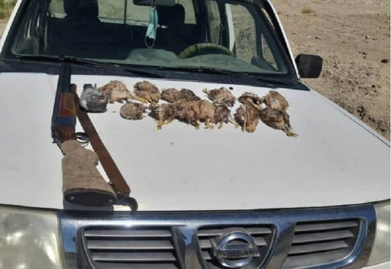 گزارش مردمی منجر به دستگیری شکارچی متخلف در گچساران شد گزارش مردمی منجر به دستگیری شکارچی متخلف در گچساران شد