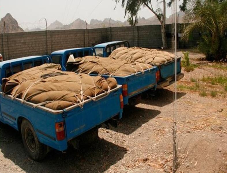 ۸۸۶ خودرو شوتی سوخت‌بَر در هرمزگان شناسایی و توقیف شد