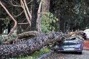 ۵ کشته بر اثر وقوع طوفان در اتریش 