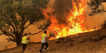 L’Iran sympathise avec l'Algérie après des incendies meurtriers