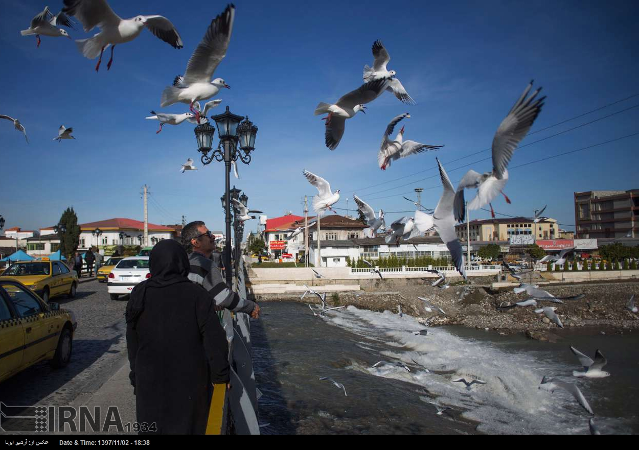  از تشکیل مثلث خدمت‌رسانی در یزد تا پایان رویایی زمین‌خواری در غرب مازندران