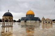 Мечети останутся центром антисионистского сопротивления до освобождения Палестины: Иран
