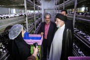 کارنامه سال نخست دولت مردمی با احیای ۳۹ واحد صنعتی راکد در کرمان