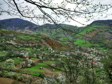 روستای زیبای ارده رضوانشهر، مقصد گردشگران