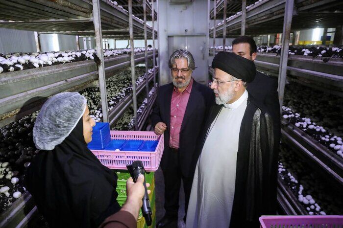 کارنامه سال نخست دولت مردمی با احیای 39 واحد صنعتی راکد در کرمان