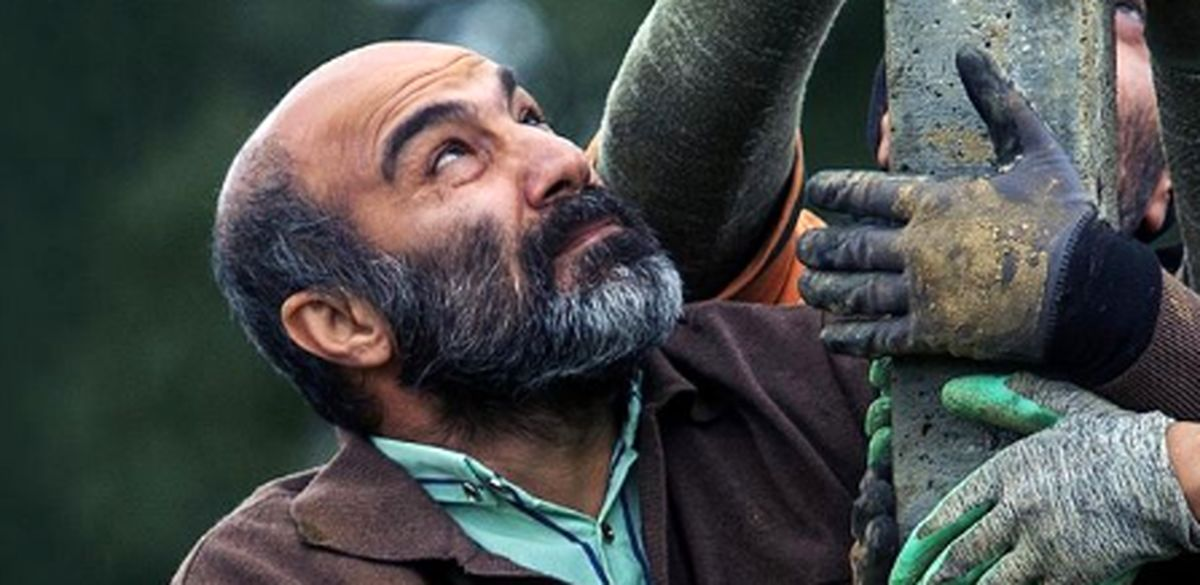 5 فیلمی که بخت بیشتری برای معرفی به اسکار 2023 دارند 5