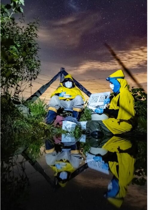 خروج گیاه انگلی از بدن یک حشره قربانی جامعه علمی را شگفتزده کرد