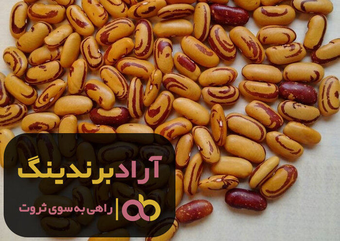 قیمت عمده لوبیا چیتی ایرانی در بازار چند؟