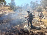 ۶۳ نیروی یگان حفاظت منابع طبیعی کردستان آماده مقابله با آتش‌سوزی هستند