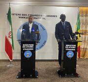 FM: Comprehensive cooperation with Mali tops Iran foreign policy