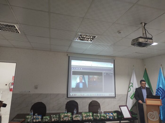 شهرستانهای مرزی کردستان کارخانههای تولید و تجارت