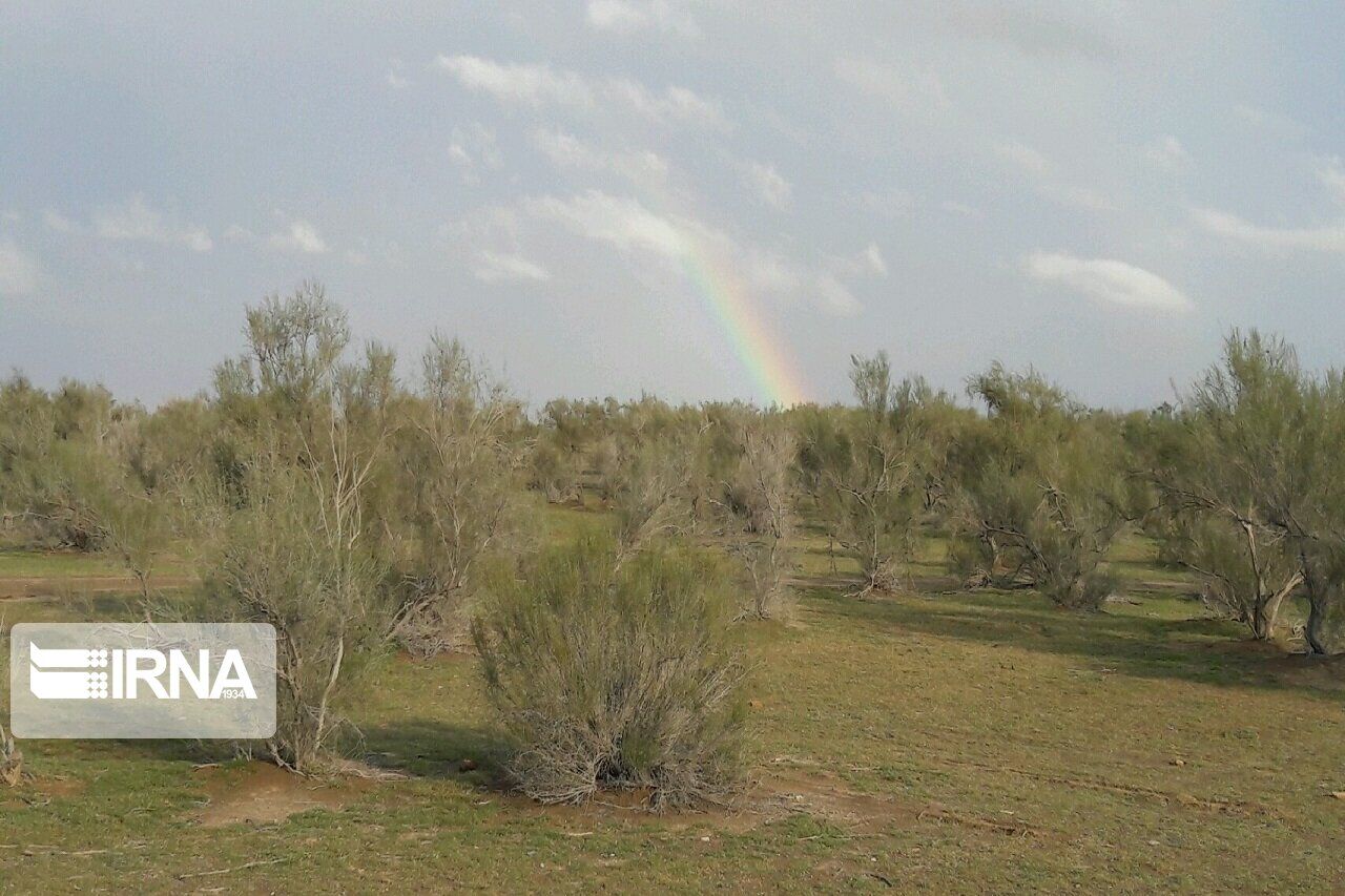 هشت طرح منابع طبیعی در اصفهان آماده بهره برداری شد هشت طرح منابع طبیعی در اصفهان آماده بهره برداری شد