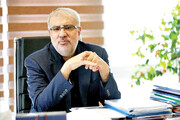 El ministro iraní de Petróleo insta a la implementación de los acuerdos alcanzados entre Teherán y Moscú 