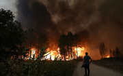 بیش از یک صد هکتار از جنگل‌های پرتغال امسال در آتش سوخت
