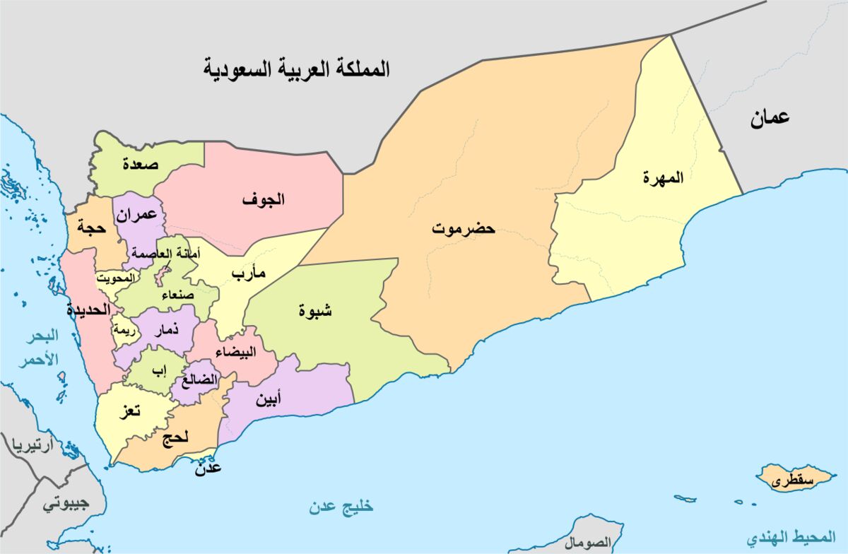 عربستان و امارات در جنوب یمن چه می خواهند؟
