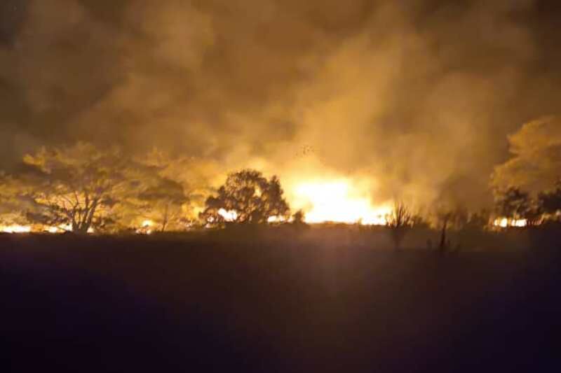 آتش به ۱۵ هکتار از مراتع و درختان پارک ملی گلستان خسارت زد آتش به ۱۵ هکتار از مراتع و درختان پارک ملی گلستان خسارت زد