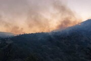 آتش سوزی ضلع غربی پارک ملی گلستان مهار شده است