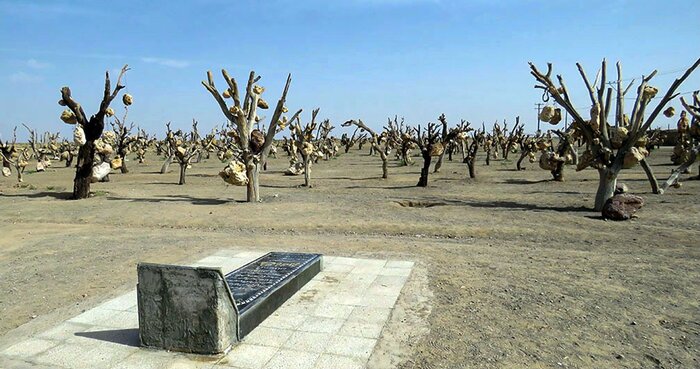 اینجا متفاوتترین بادگیر ایران است