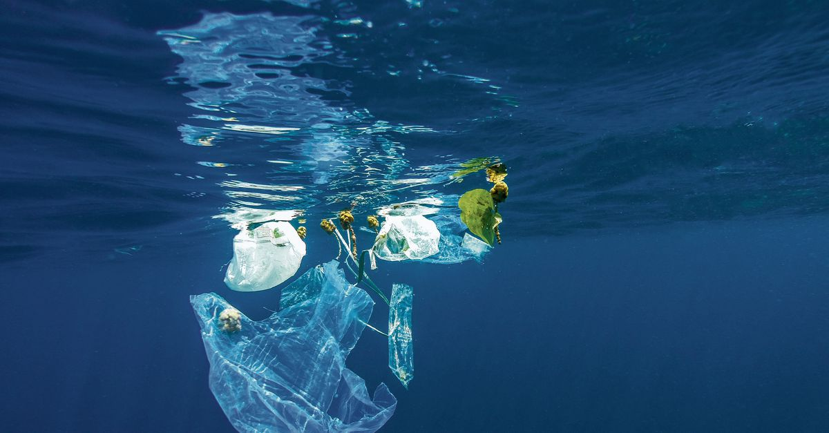 روایتی از خبرI آبهای آزاد؛ قربانی مطامع قدرتهای بزرگ